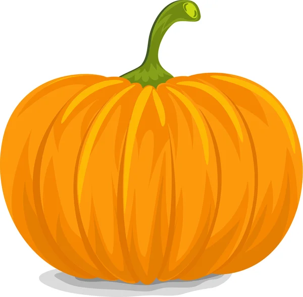 Yellow Pumpkin — Stock Vector