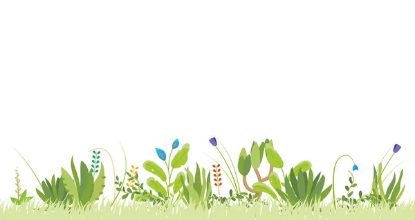 Seamless Nature Background Spring Summer Flowers Grass Plants Green Grass — Stock Vector