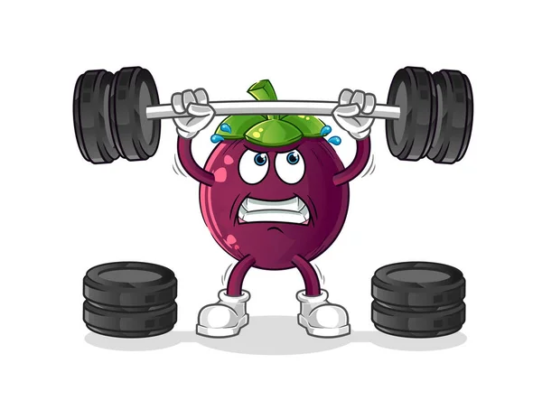 Mangosteen Άρση Του Χαρακτήρα Barbell Φορέας Μασκότ Κινουμένων Σχεδίων — Διανυσματικό Αρχείο