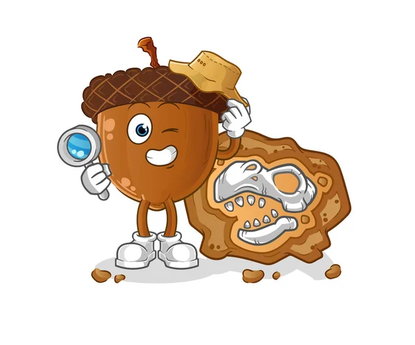 Acorn Head Cartoon Archaeologists Fossils Mascot Cartoon Vector — ストックベクタ