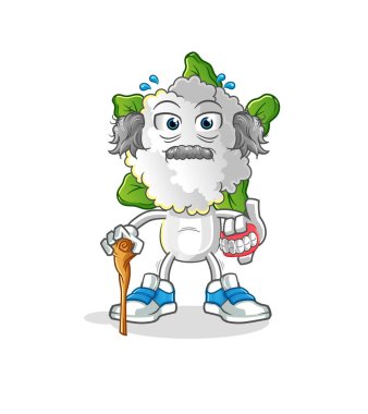 cauliflower head cartoon white haired old man. character vector