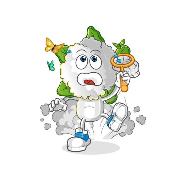 cauliflower head cartoon catch butterfly illustration. character vector