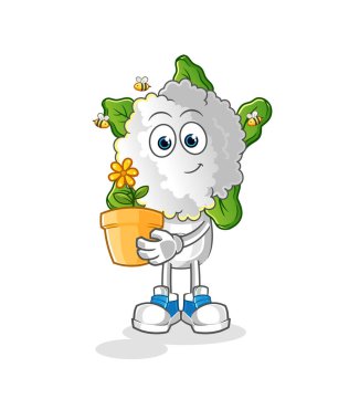 cauliflower head cartoon with a flower pot. character vector