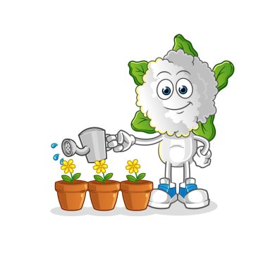 cauliflower head cartoon watering the flowers mascot. cartoon vector