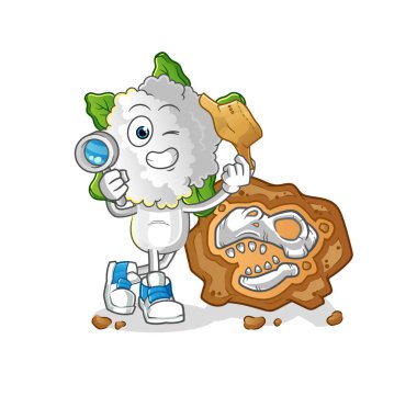 cauliflower head cartoon archaeologists with fossils mascot. cartoon vector