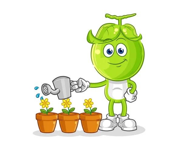 Pea Head Watering Flowers Mascot Cartoon Vecto — Stock Vector