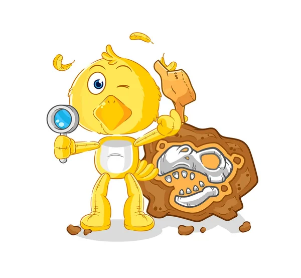 the chick archaeologists with fossils mascot. cartoon vecto