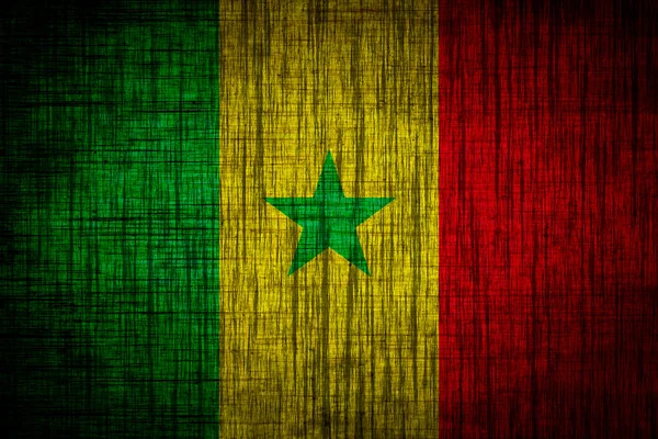 Senegal flag wood texture — Stock Photo, Image