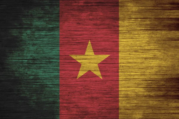 Vlajka Kamerunu na texturu dřeva — Stock fotografie