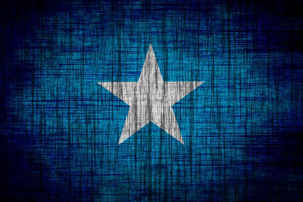 Somali bayrağı ahşap doku — Stok fotoğraf
