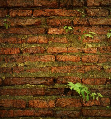 Eski tuğla duvar