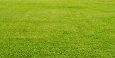 festung çim arka plan