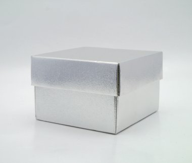 Gümüş kutu