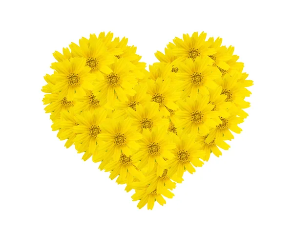 Cuore di fiore — Foto Stock