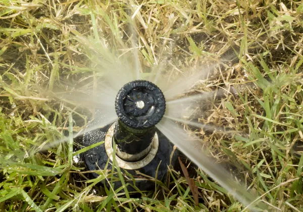 Detalhe de uma cabeça de aspersor de gramado de trabalho regando a grama — Fotografia de Stock