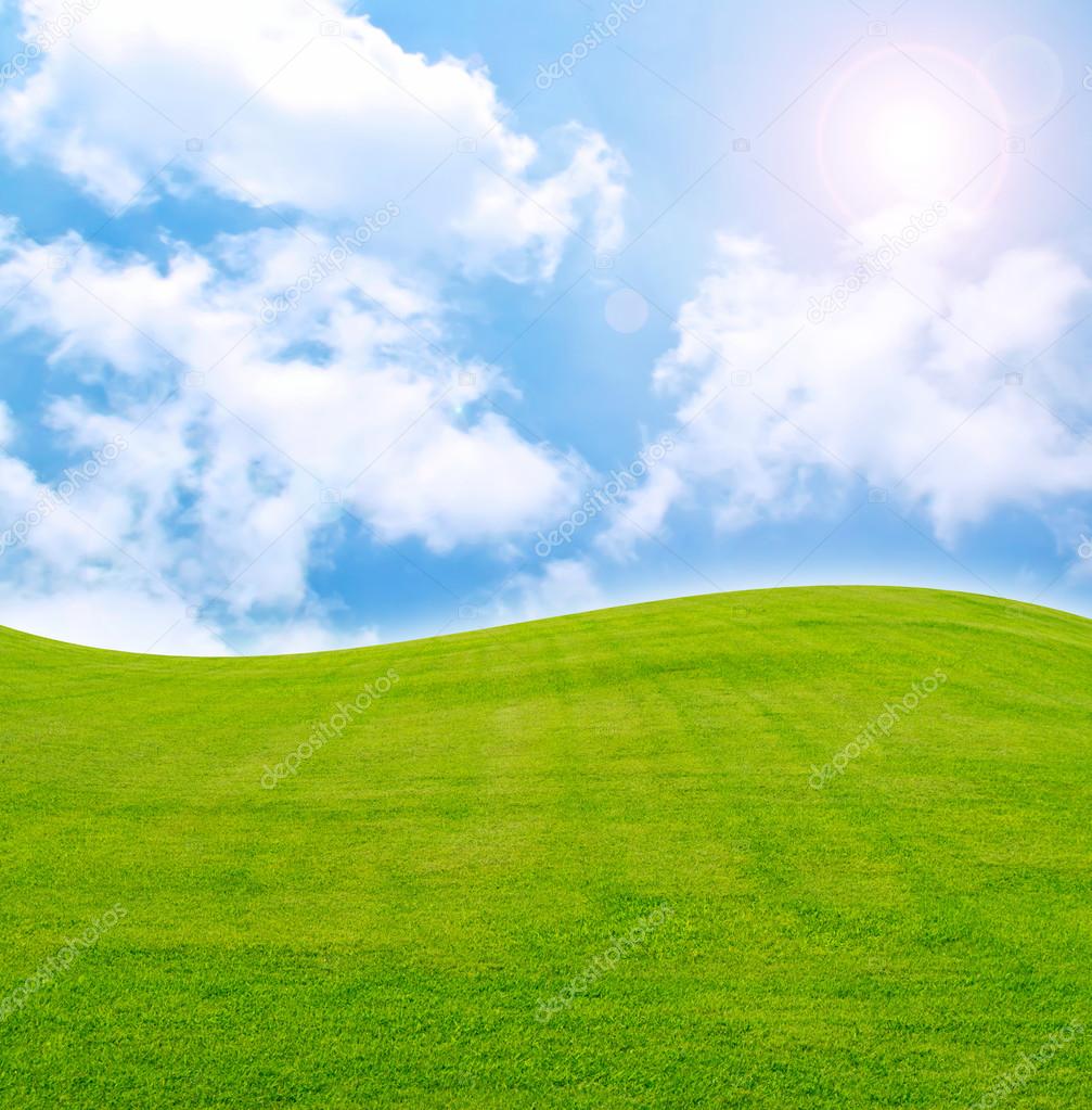 sun and field of green fresh grass under blue sky