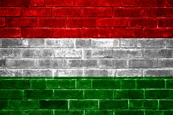 Vlajka Maďarska maloval na zdi — Stock fotografie