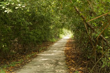 Tünelin sonundaki ışık.