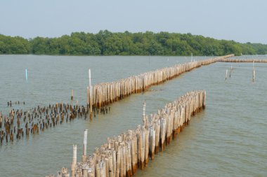 eski bambu çit korumak kumsal deniz dalgası