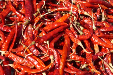 çok sıcak ve baharatlı biber 