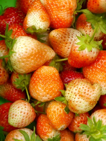 Strawberry — Stock Photo, Image