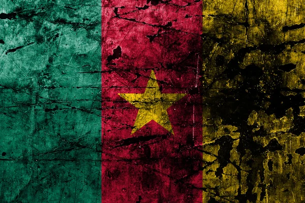 Drapeau Grunge du Cameroun — Photo