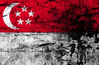 Singapur 'un Grunge Bayrağı