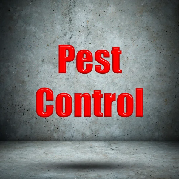 Pest control betonnen wand — Stockfoto