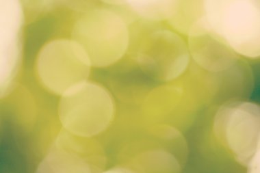 Yaz soyut doğası arka plan