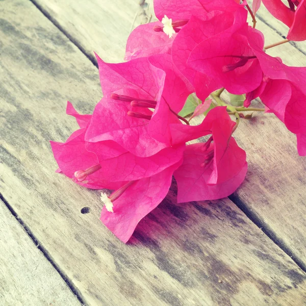 Bougainvillea çiçek eski retro vintage tarzı — Stok fotoğraf