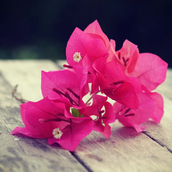 Bougainvilliers fleurs vieux style vintage rétro — Photo