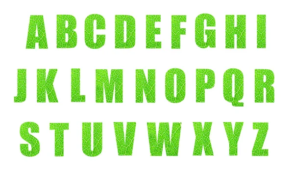 Groene bladeren lettertype — Stockfoto