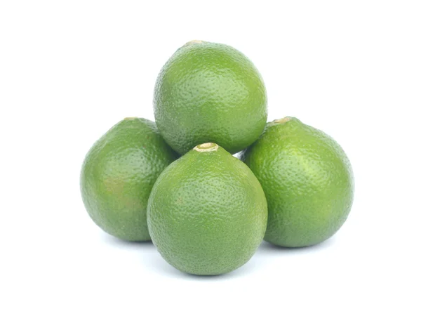 Agrumes citron vert isolés sur fond blanc — Photo