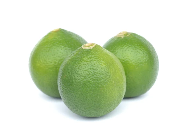 Agrumes citron vert isolés sur fond blanc — Photo