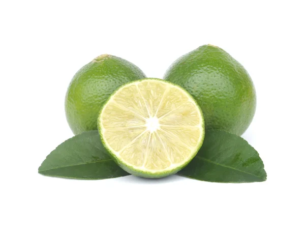 Agrumes citron vert isolés sur fond blanc — Photo