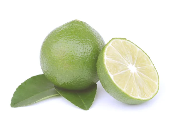 Agrumes citron vert isolés sur fond blanc — Photo