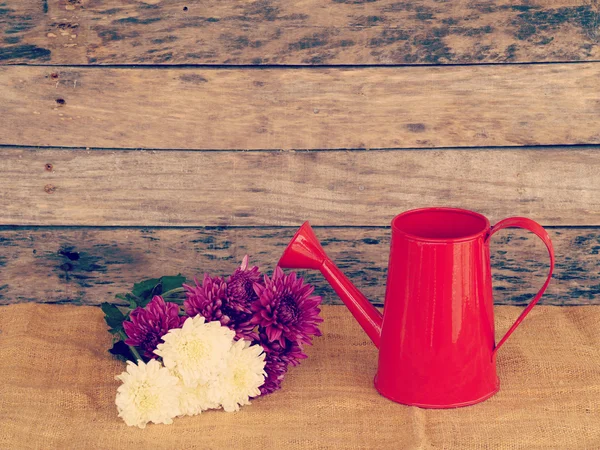 Flowers and watering can old retro vintage style — Stock Photo, Image