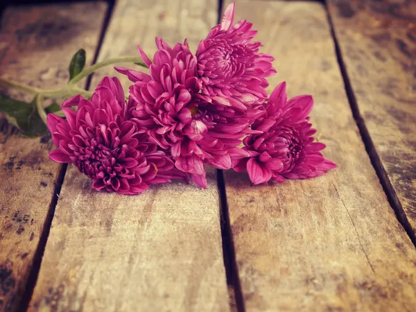 Flores velho estilo retro vintage — Fotografia de Stock