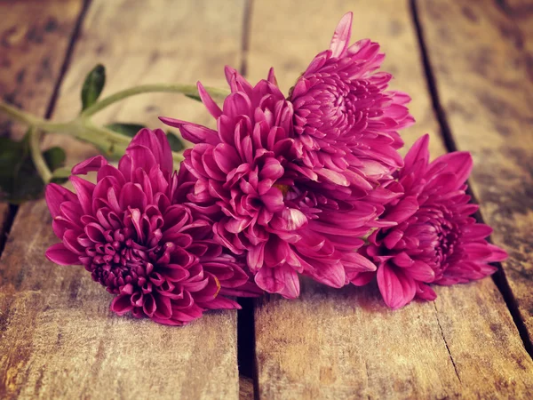 Flowers old retro vintage style — Stock Photo, Image