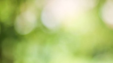 Güneşli, soyut yeşil doğa arka planı, Bokeh ışığı, doğa, bahçe, bahar ve yaz mevsimi olan Görüntü Parkı