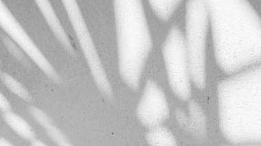 Siyah ve beyaz arka plan textuer gölgeler yaprak beton duvara