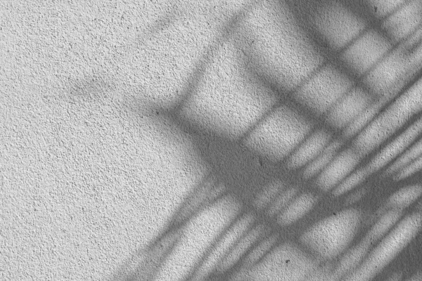 Beton Bir Duvardaki Gölge Yaprağının Siyah Beyaz Soyut Arkaplan Dokusu — Stok fotoğraf