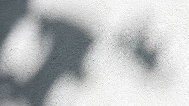 Siyah ve beyaz arka plan textuer gölgeler yaprak beton duvara