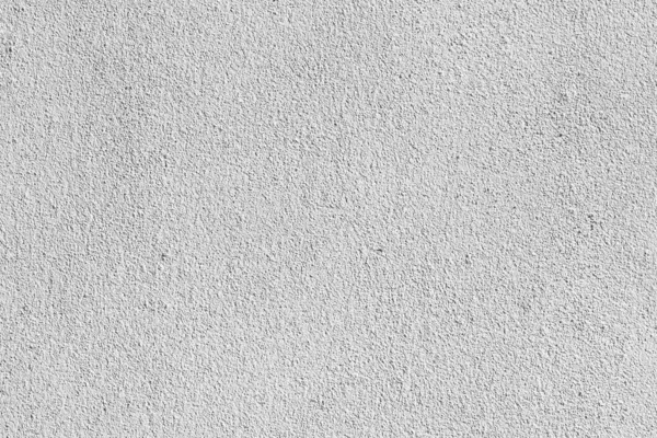 Fekete Fehér Elvont Háttér Textúra Árnyékok Levél Beton Falon — Stock Fotó