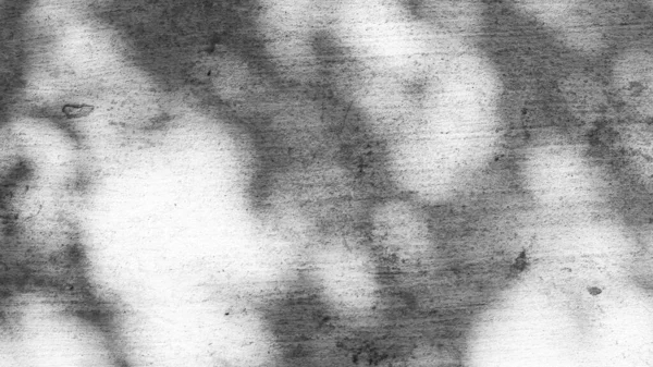 在混凝土墙上的影子叶黑色和白色抽象背景 Textuer — 图库照片
