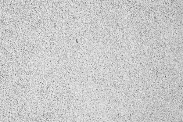 黒と白の抽象的な背景の質感の影の葉の具体的な壁に — ストック写真