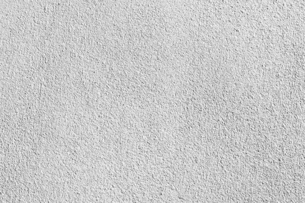 Schwarz Weiß Abstrakte Hintergrundtextur Der Schatten Blatt Auf Einer Betonwand — Stockfoto