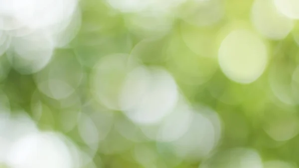 Słoneczny Abstrakcyjny Zielony Charakter Tło Blur Park Bokeh Światło Natura — Zdjęcie stockowe