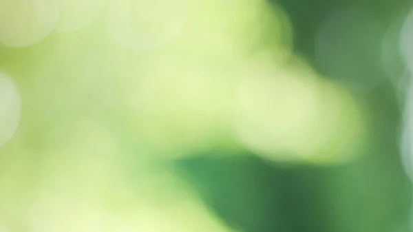 Sunny Abstract Green Nature Background Blur Park Bokeh Light Nature — Stock Photo, Image