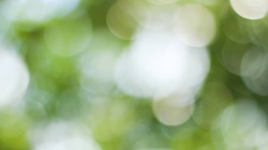 Güneşli, soyut yeşil doğa arka planı, Bokeh ışığı, doğa, bahçe, bahar ve yaz mevsimi olan Görüntü Parkı